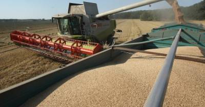 Украина заняла второе место в мире по экспорту зерновых