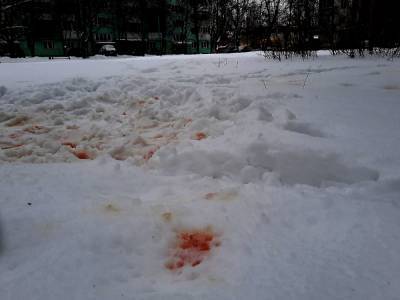 В Новомичуринске двух братьев расстреляли из травматов