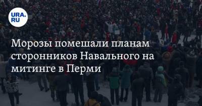 Морозы помешали планам сторонников Навального на митинге в Перми