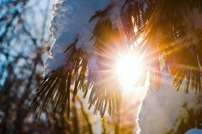 Солнечно и ветряно: синоптик рассказала, какой будет погода 24 января