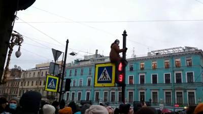 Тиктокеры так и не смогли стать декабристами на протестах в Петербурге.