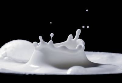 Россиянам рекомендовали воздержаться от обезжиренных молочных продуктов в пандемию