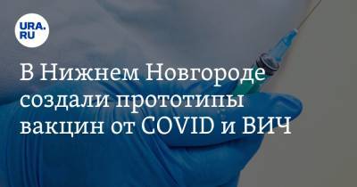 В Нижнем Новгороде создали прототипы вакцин от COVID и ВИЧ