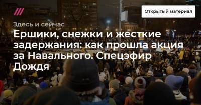 Ершики, снежки и жесткие задержания: как прошла акция за Навального. Спецэфир Дождя