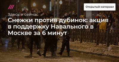 Снежки против дубинок: акция в поддержку Навального в Москве за 6 минут