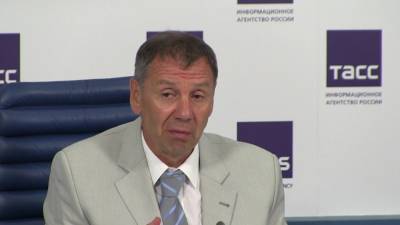 Член ОП РФ Марков заявил о действии "банд боевиков" на незаконных митингах