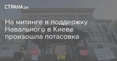На митинге в поддержку Навального в Киеве произошла потасовка
