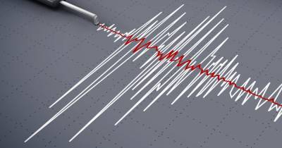 Угрозу цунами объявили в Чили после 7-балльного землетрясения - ren.tv - Антарктида - Чили