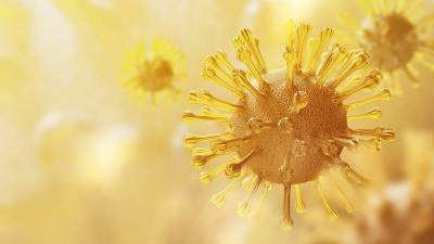 Ученые: организм способен запоминать коронавирусы