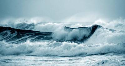 Антарктические базы Чили эвакуировали из-за угрозы цунами