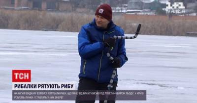 В Кропивницкому спасали рыбу от недостатка кислорода: что случилось