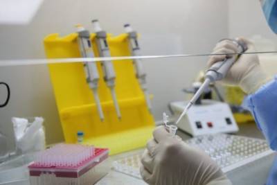 Число заразившихся COVID в Забайкалье с начала пандемии почти дошло до 33 тыс. человек