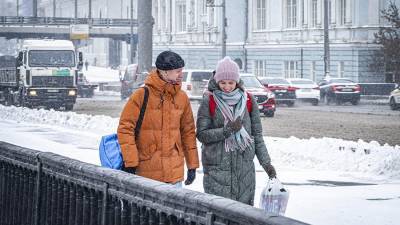 Синоптики рассказали о погоде в Москве 24 января