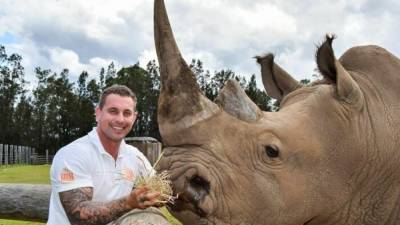 Обняться со львенком или покормить носорога: крутой инстаграм зооработника