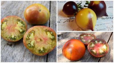 Цветные помидоры: в чем их преимущества? Выбираем сорта и гибриды томатов для посева на рассаду в 2021 году