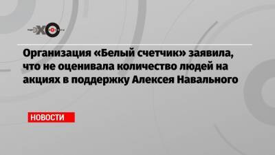 Организация «Белый счетчик» заявила, что не оценивала количество людей на акциях в поддержку Алексея Навального