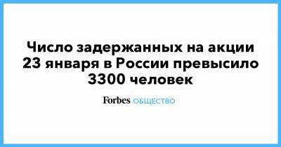 Число задержанных на акции 23 января в России превысило 3300 человек