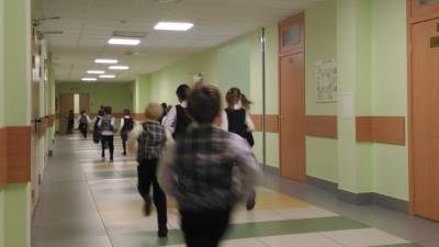 Толпа школьников в Бердске на камеру избила одноклассника
