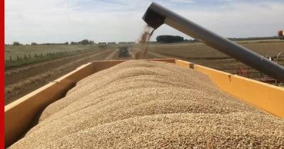 Украина нашла нового покупателя для своего зерна