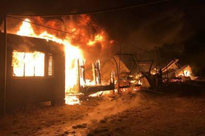 В Одесской области горела база отдыха: Огнем уничтожено семь домов