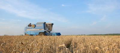 Главным импортером украинского зерна в 2020 стал Китай