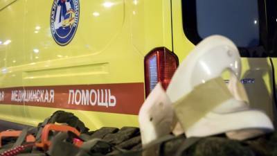 Мужчина и женщина пострадали в ДТП с фурой в Воронежской области