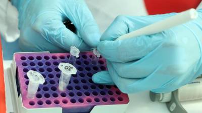 В России за сутки выявили 21 127 случаев коронавируса