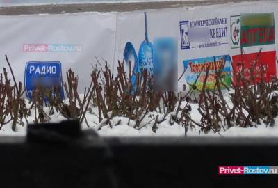 Очистить городские улицы от рекламы требуют ростовчане