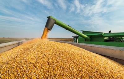 Крупнейшим импортером украинского зерна стала Поднебесная
