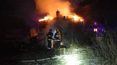 Три человека пострадали при пожарах в Гомельской области