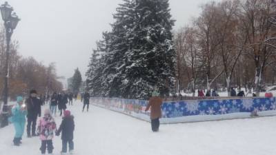 Самарские студенты на Татьянин день смогут бесплатно посетить «зачетные катки»
