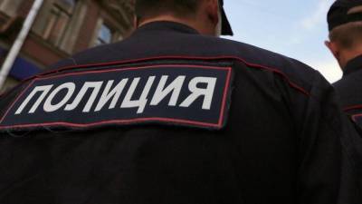Участницы Pussy Riot на автомобиле снесли с ног полицейского в Москве
