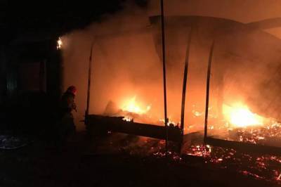 В Одесской области загорелась заброшенная база отдыха