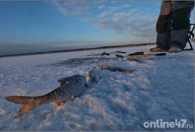 В Петербурге спасли рыбаков, дрейфовавших на льдине