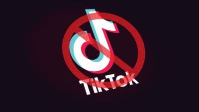 Италия запретила детям пользоваться TikTok