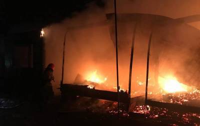 Крупный пожар на базе отдыха под Одессой: дотла сгорели 7 домиков – фото, подробности