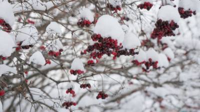 На Урале январь этого года признан самым холодным за последние 15 лет