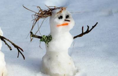 В Польше завели дело против снеговика