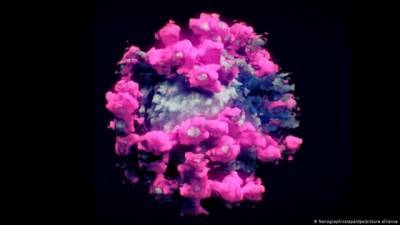 Ученые создали первую реальную 3D-модель коронавируса