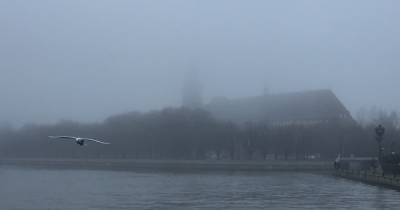 В Калининградской области в понедельник ожидается туман
