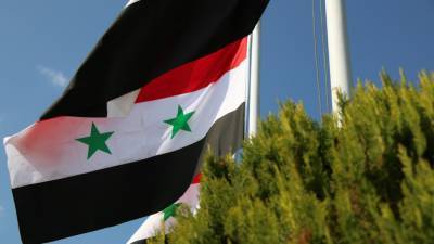 Сирийские власти решительно осудили вмешательство Запада в дела России