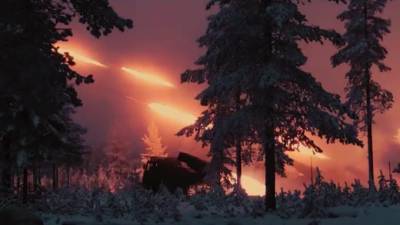 Финляндия совершила одновременный залп из 240 ракет у границ России