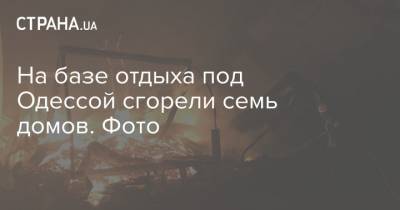 На базе отдыха под Одессой сгорели семь домов. Фото
