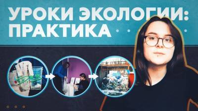 Школы — за переработку: активистка из Петербурга запустила экопроект в учебных заведениях России и мира