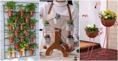 17 подставок для растений, чтобы эффектно показать все ваши комнатные растения