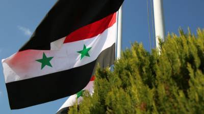Сирия раскритиковала США за попытку дестабилизации обстановки в РФ
