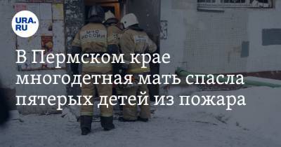 В Пермском крае многодетная мать спасла пятерых детей из пожара