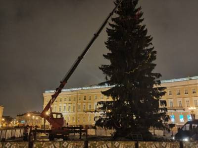 В Петербурге начали разбирать главную новогоднюю елку