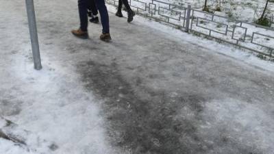 Рабочая неделя в Ленобласти начнется с мокрого снега и гололедицы