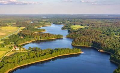 Беларусь входит в десятку лесных государств Европы